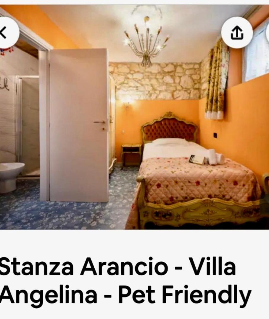 Angelina Barana 8 Verona