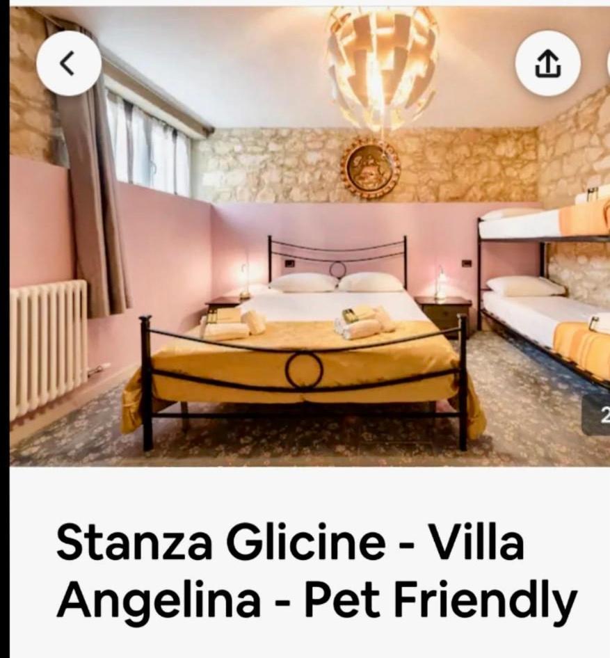 Angelina Barana 8 * Verona